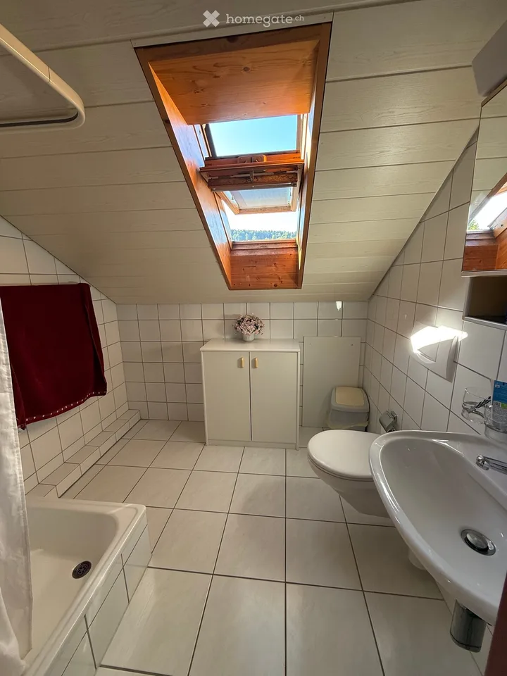 Studio Appartement Mansarde Lumineux Inclus Mobilier