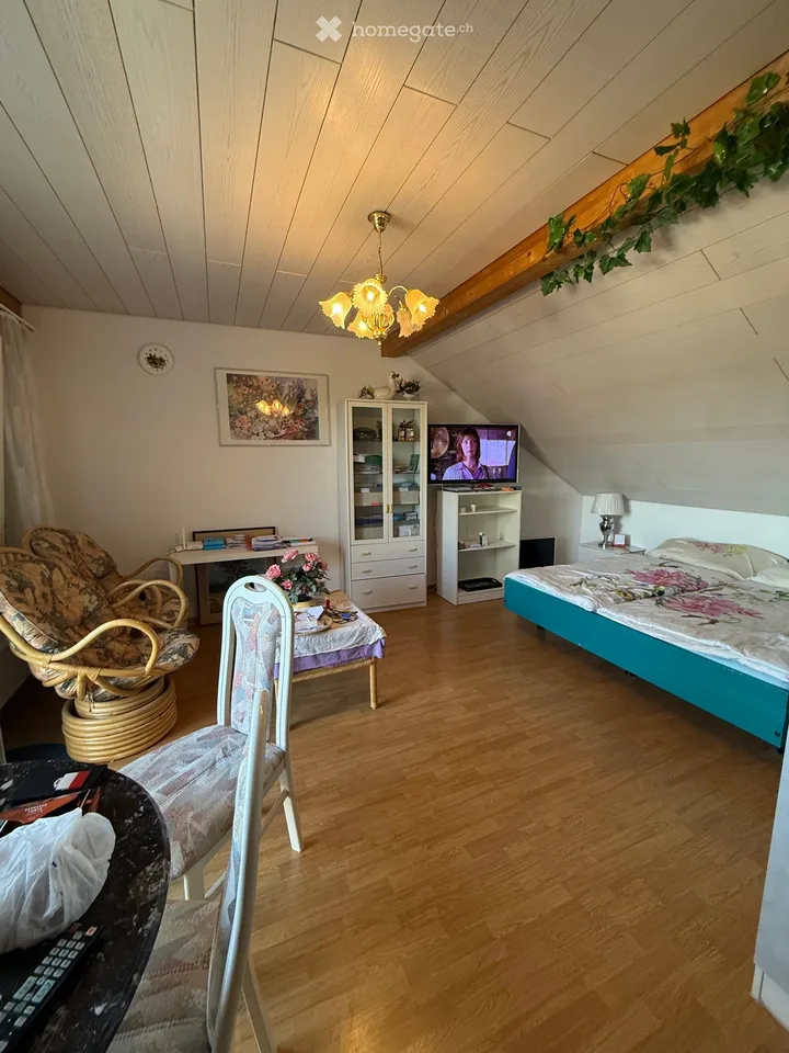 Studio Appartement Mansarde Lumineux Inclus Mobilier