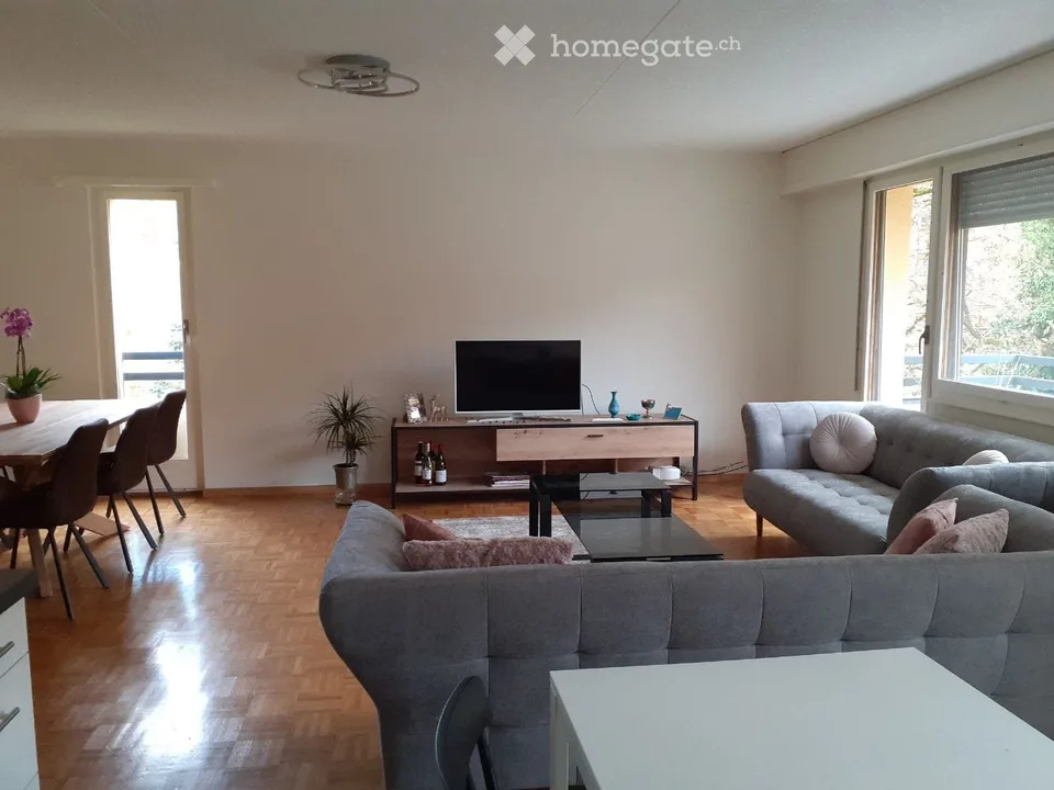 Appartement de 3 pièces rénové avec une belle vue