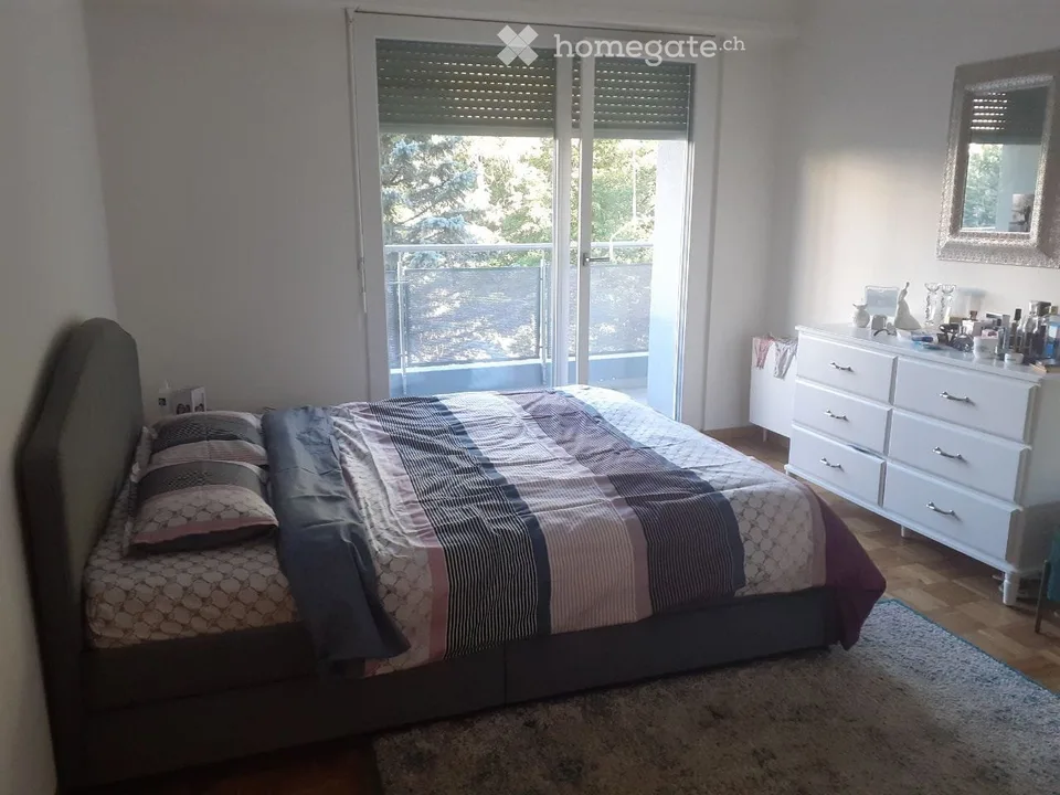 Appartement de 3 pièces rénové avec une belle vue