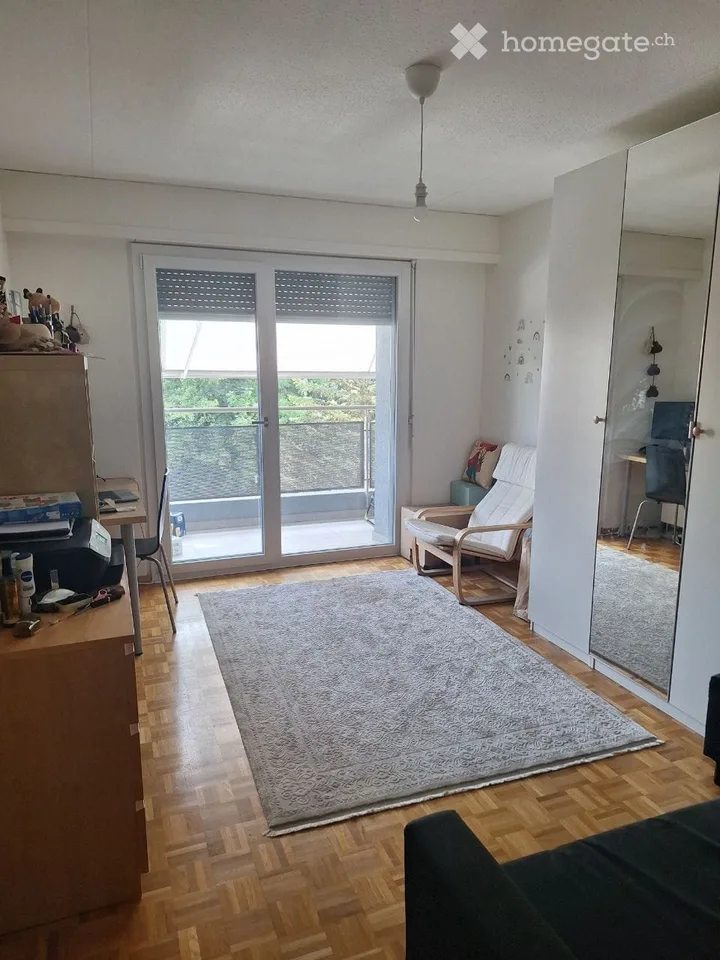 Appartement de 3 pièces rénové avec une belle vue