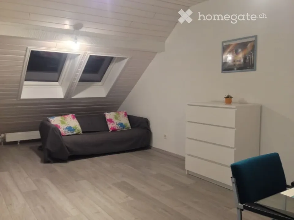 Delizioso appartamento mansardato vicino a "Schwert", Zürich-Höngg