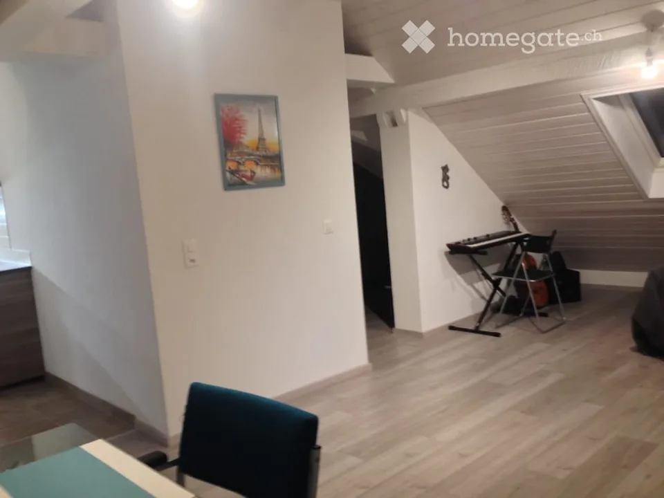 Charmante Dachwohnung nähe "Schwert", Zürich-Höngg
