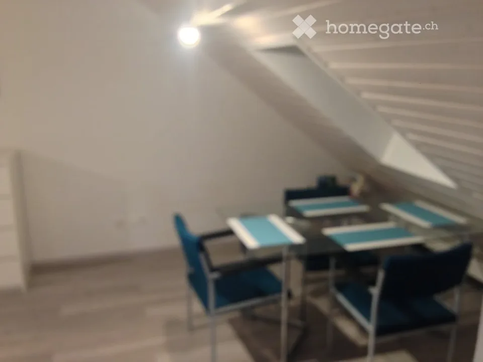 Delizioso appartamento mansardato vicino a "Schwert", Zürich-Höngg