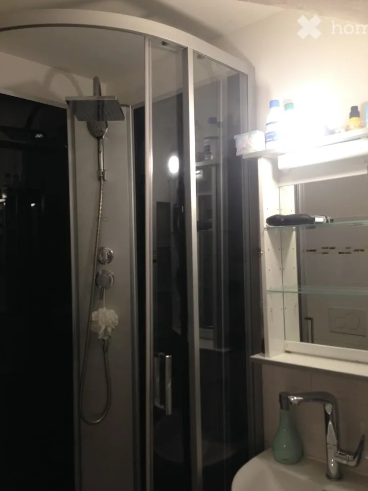Delizioso appartamento mansardato vicino a "Schwert", Zürich-Höngg