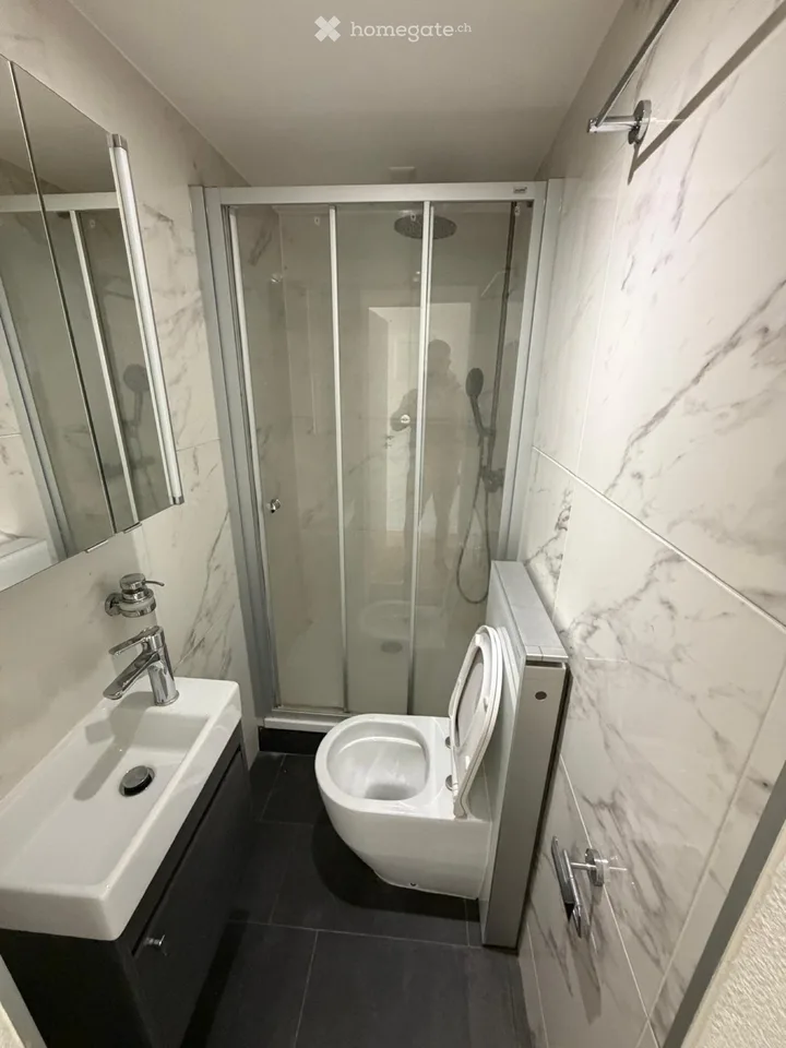 Apartment for rent 4.5 rooms