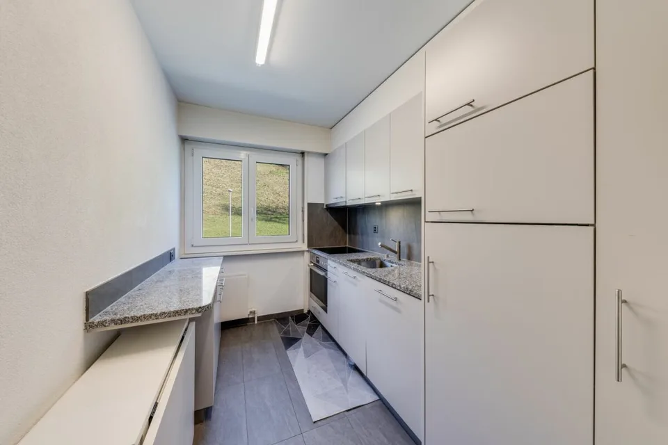 Bel appartement rénové 3.5 pièces avec magnifique vue sur le lac