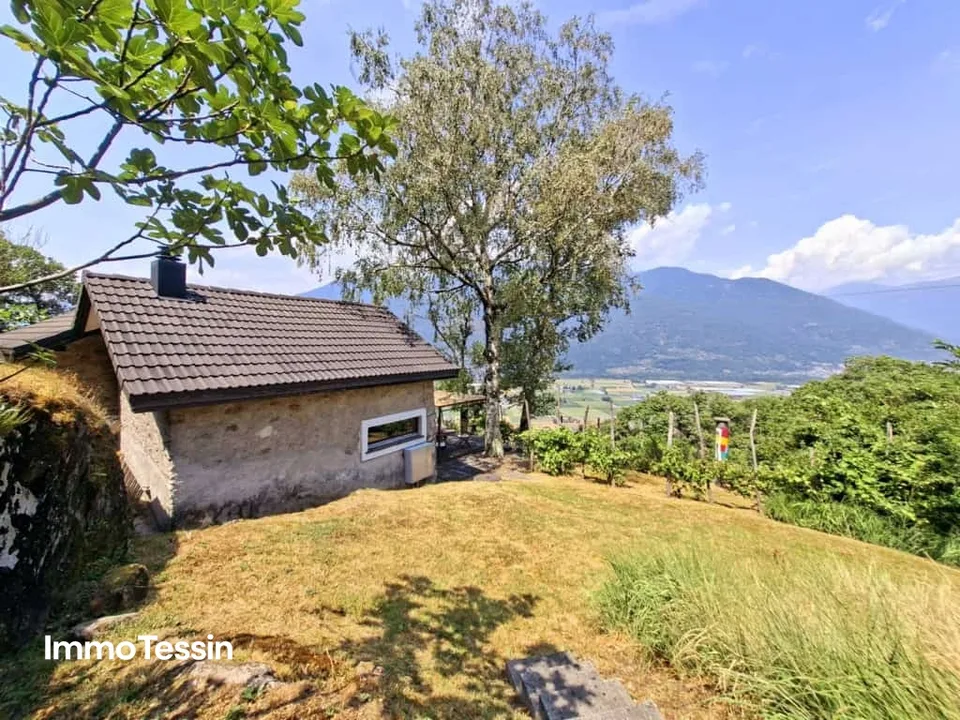 UNIQUE: Property with two rusticos and separate studio in panoramic location with far-reaching views and huge plot