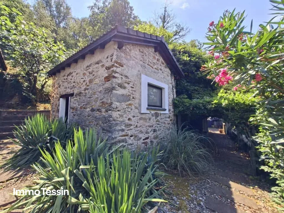UNIQUE: Property with two rusticos and separate studio in panoramic location with far-reaching views and huge plot
