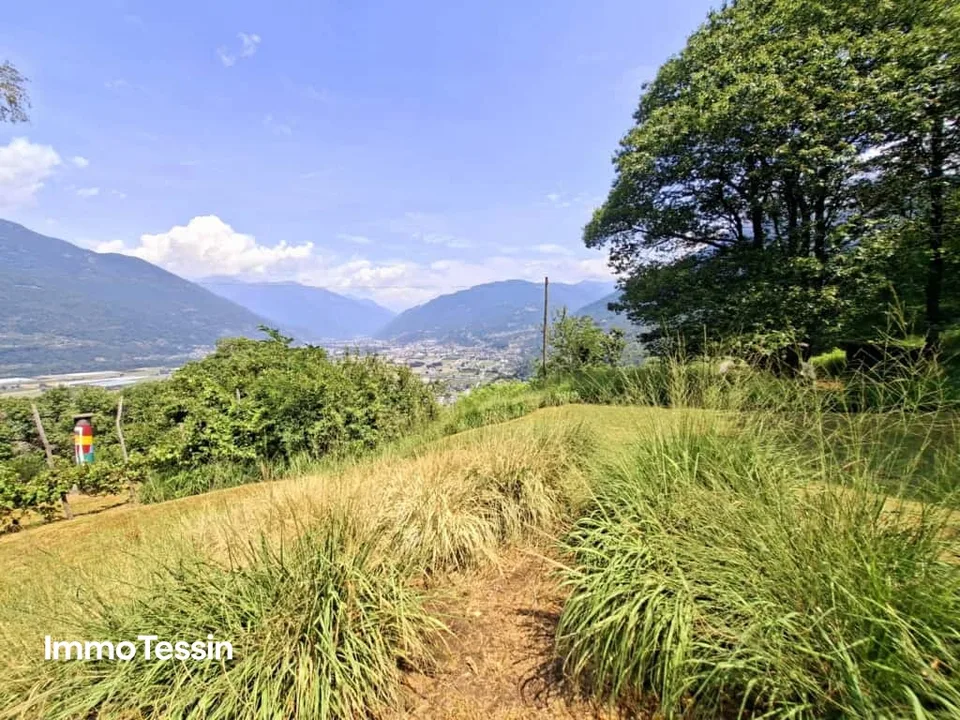 UNIQUE: Property with two rusticos and separate studio in panoramic location with far-reaching views and huge plot