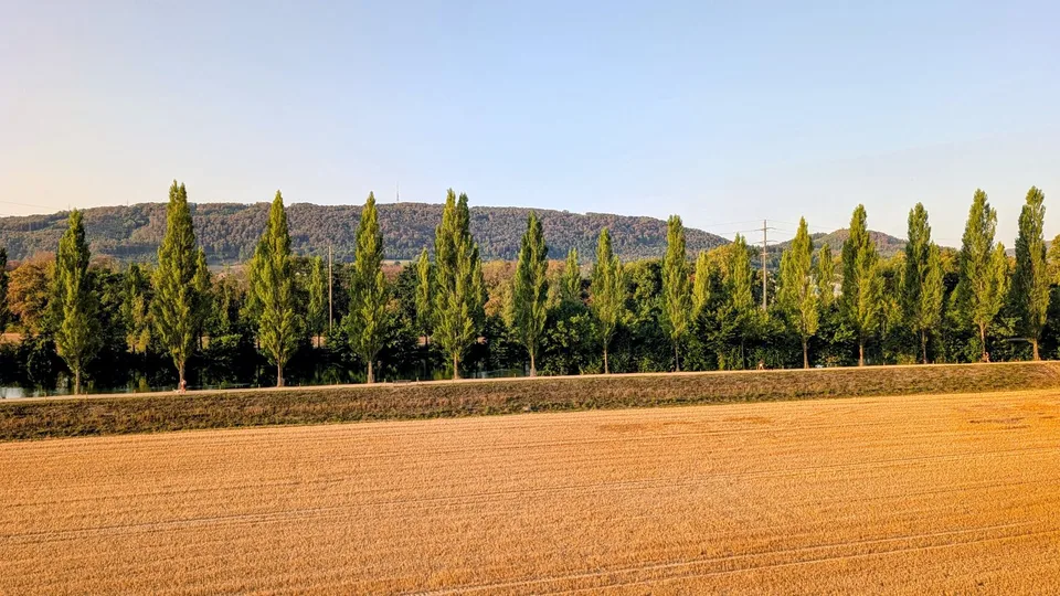 Espacieux, lumineux, avec une vue magnifique