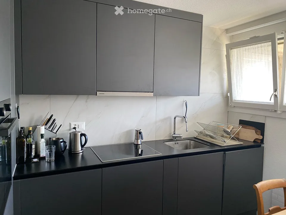 2.5-room apartment with balcony in Zürich-Höngg, near Limmat