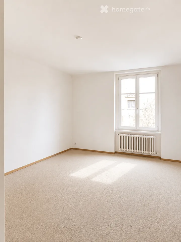 Appartement 3 pièces entre Hegibach et Klusplatz