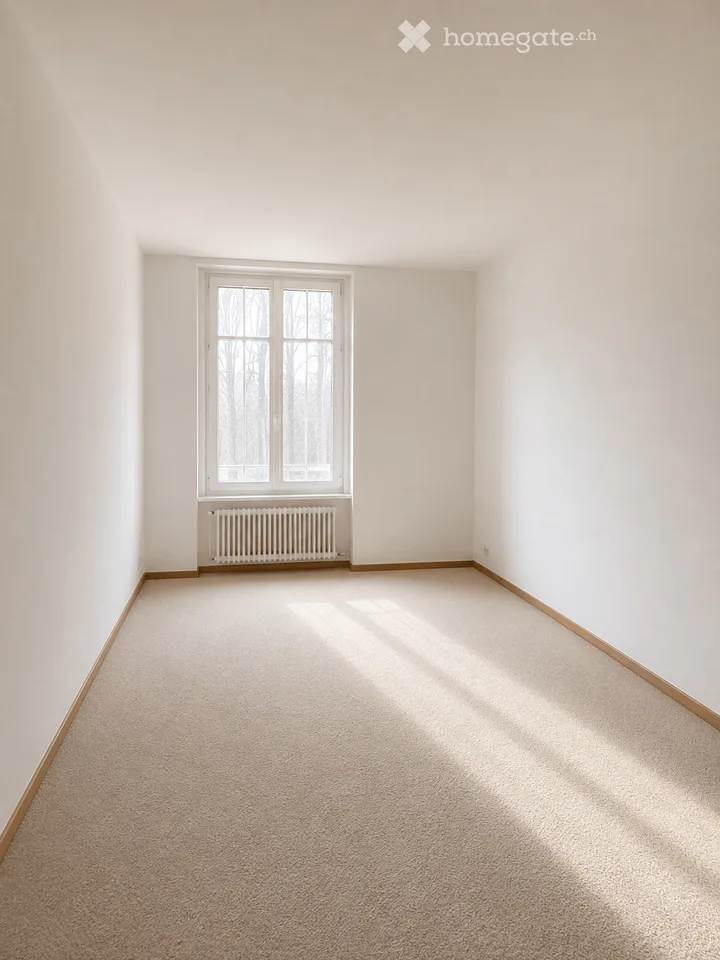 Appartement 3 pièces entre Hegibach et Klusplatz