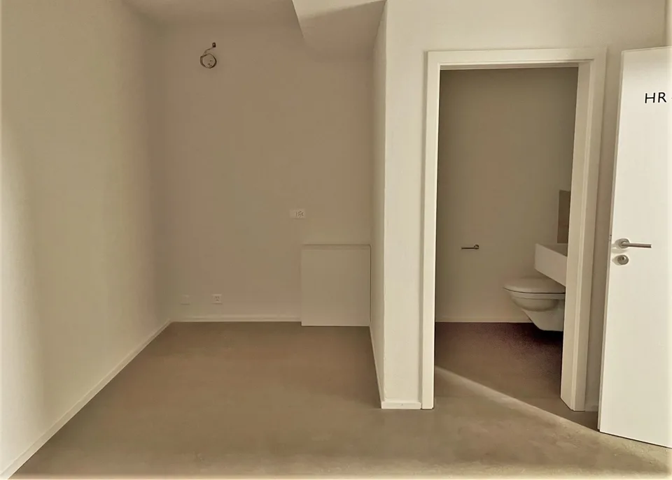 Hobby room with toilet in Liestal for rent