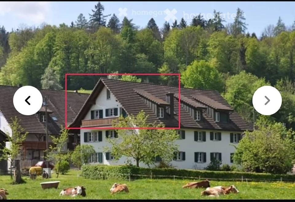 Wunderschöne, ruhige 2.5-Zimmer-Dachwohnung mit Balkon (Nachmieter gesucht)