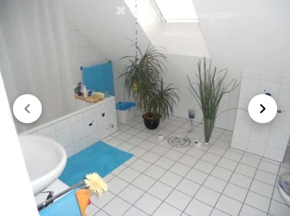 Beautiful, quiet 2.5-room attic apartment with balcony (subtenant sought)