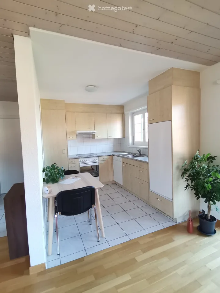 Beautiful, quiet 2.5-room attic apartment with balcony (subtenant sought)