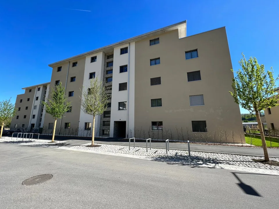 Moderne 5.5-Zimmer-Wohnung mit Balkon und schöner Aussicht in Zwingen