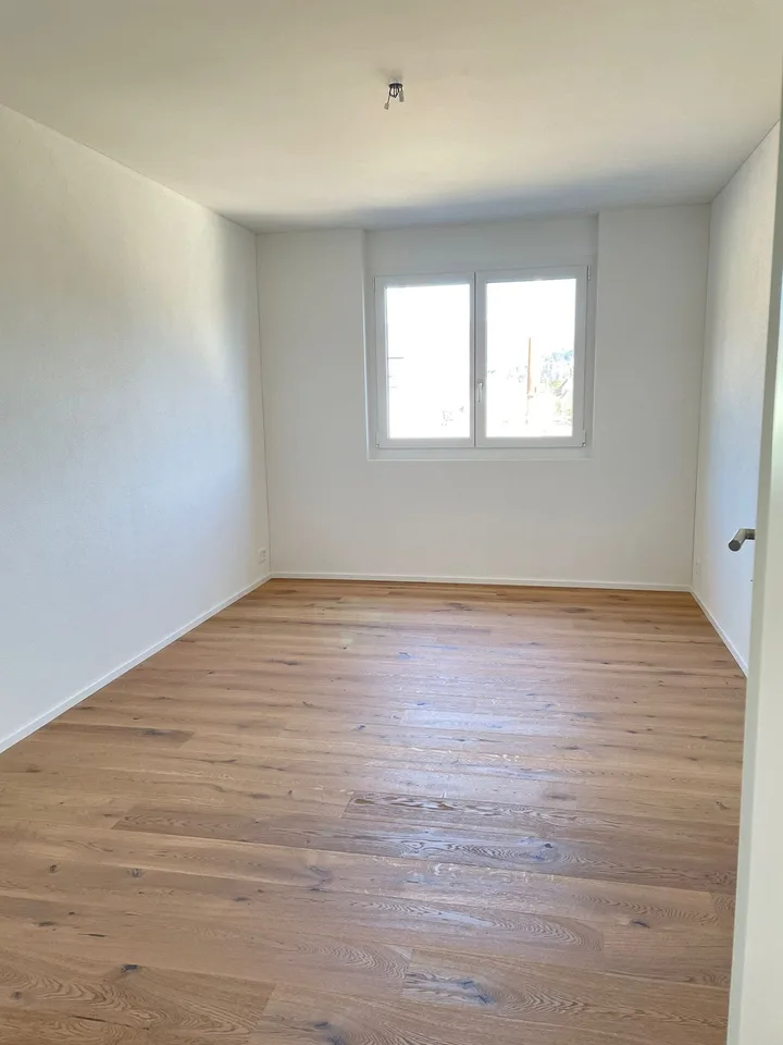 Appartamento moderno 5.5 locali con balcone e bella vista a Zwingen