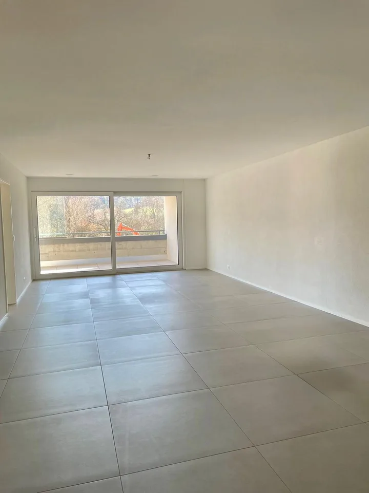 Appartamento moderno 5.5 locali con balcone e bella vista a Zwingen