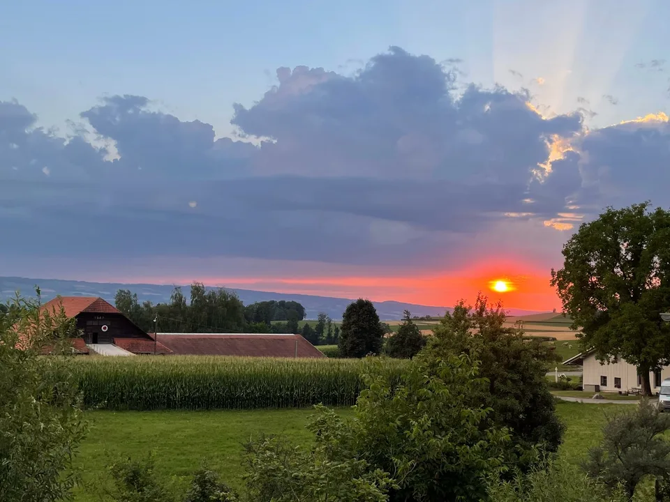 3 maisons mitoyennes spacieuses neuves à louer à Rifferswil