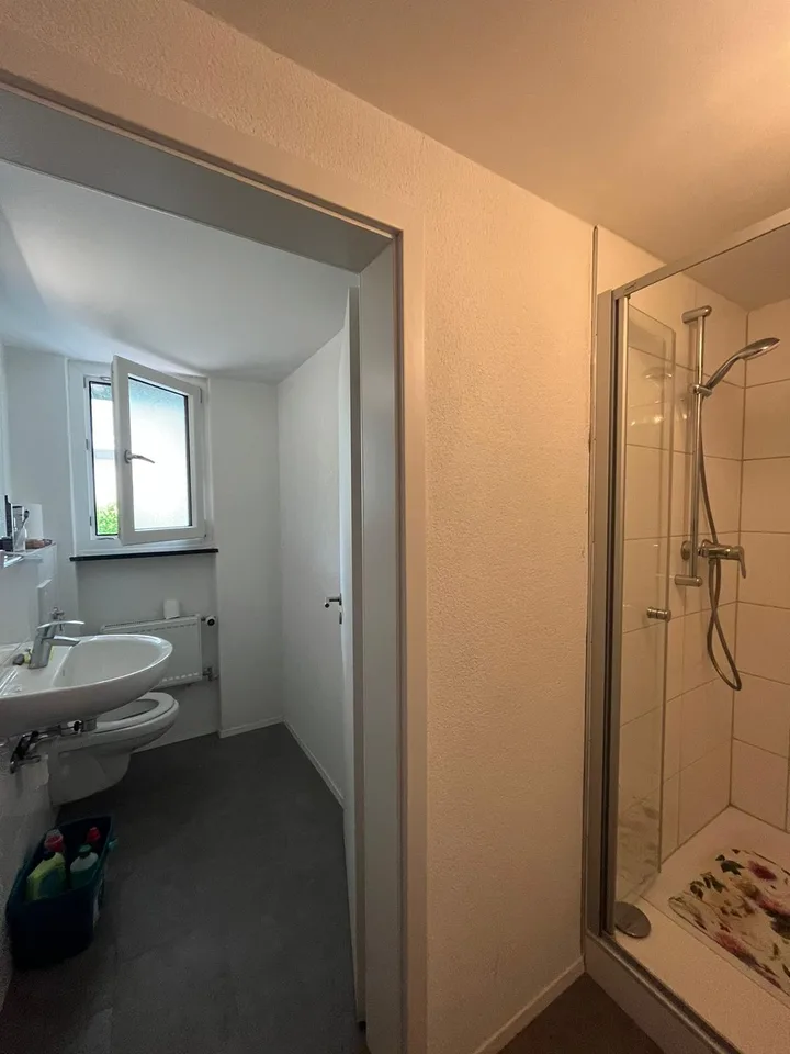 Appartement rénové à la frontière de la ville de Constance