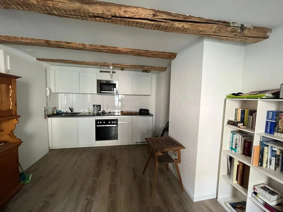 Appartement rénové à la frontière de la ville de Constance