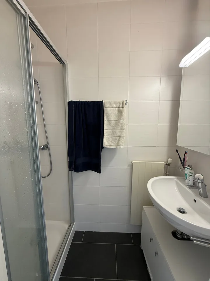 Prächtige 7-Zimmer-Dachwohnung mit Seeblick