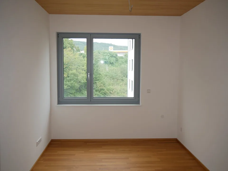 Tiengen - 2-Zimmer Penthousewohnung 99 m²