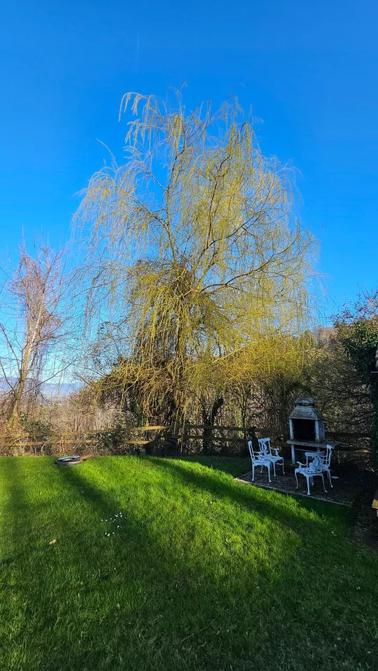 3.5 Zimmer-Wohnung 1.OG Ost mit Seesicht und Terrasse