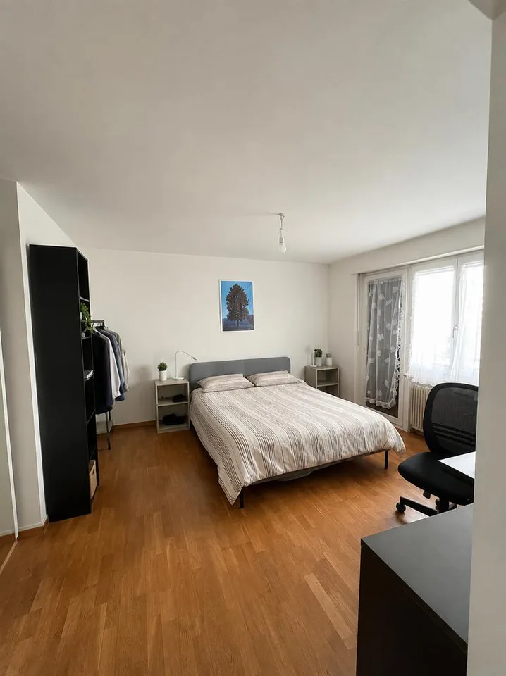 Appartement 2 pièces lumineux dans un emplacement attractif à Zurich-Friesenberg