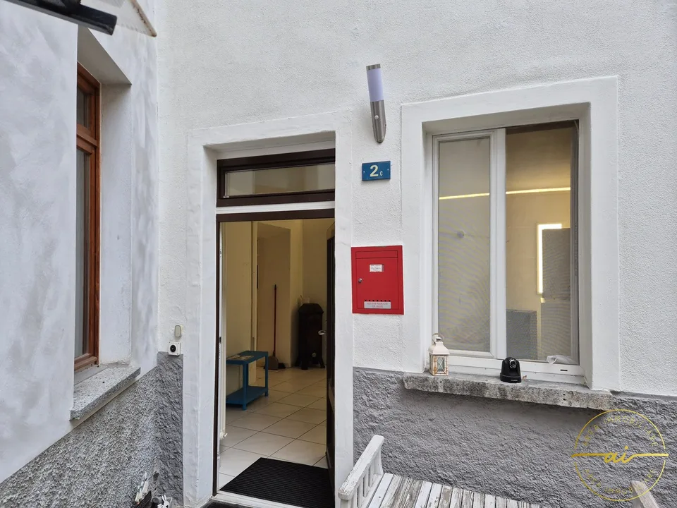 Haus mit 5,5 Zimmern im historischen Zentrum von Riva San Vitale
