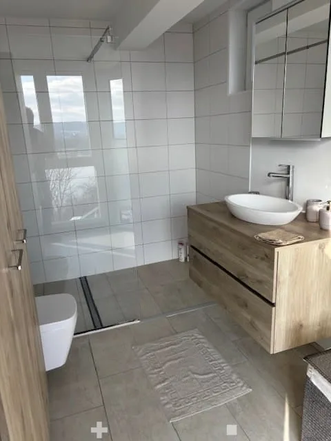 Stilvolle 7-Zimmer-Villa mit Seesicht in Biel kaufen