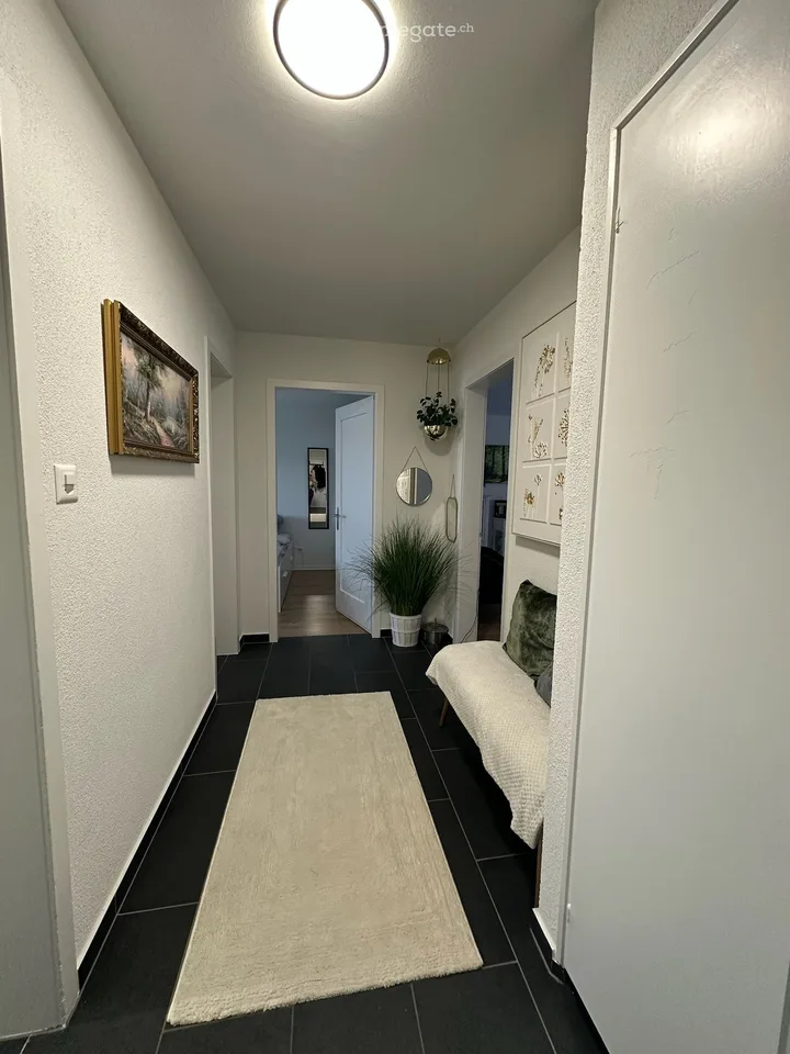Helle 3-Zimmer-Wohnung im 3. OG mit Balkon – Zeltweg 39, Uster