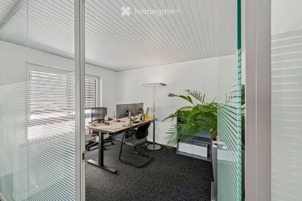 Bright office spaces for rent in an excellent location, 50 m² to 311 m²
