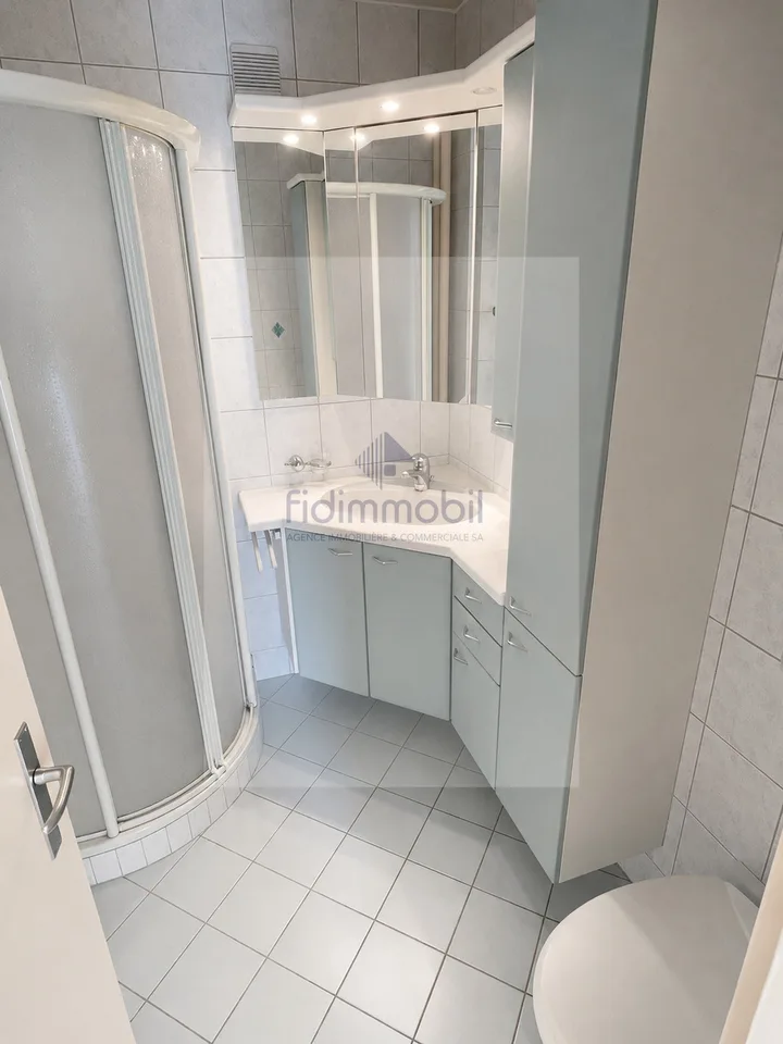 Charmant 3 pièces avec belle terrasse dégagée