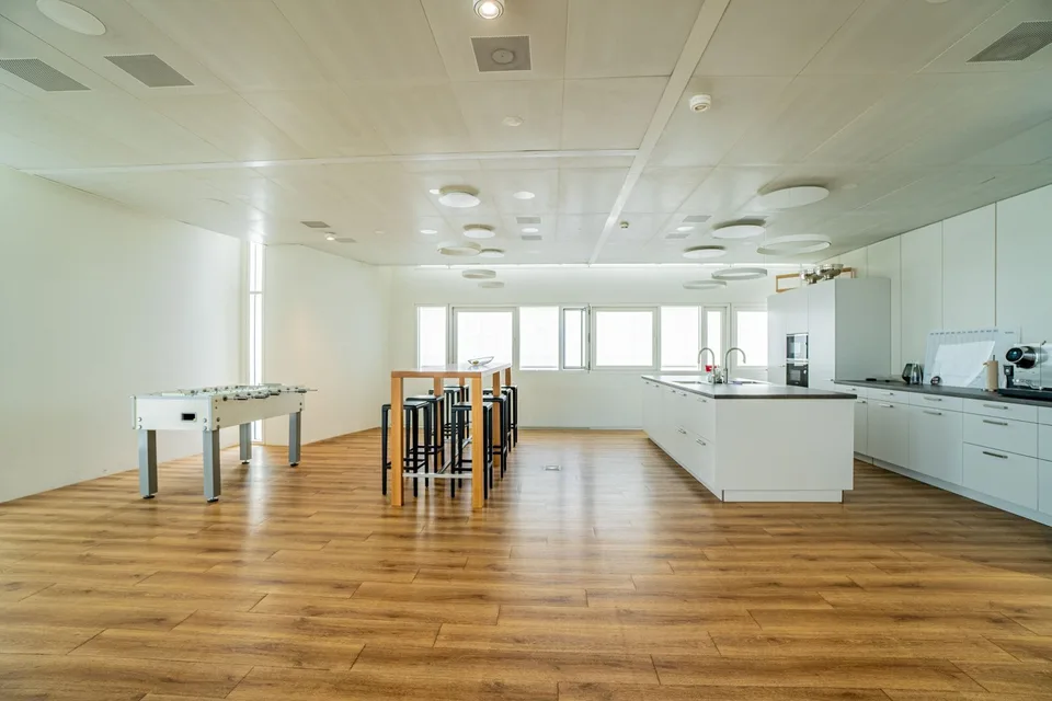 Bright office in White Plaza with outdoor spaces for rent in Basel
