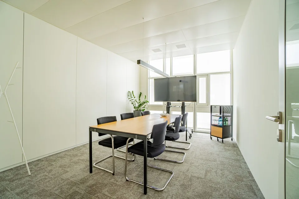Bright office in White Plaza with outdoor spaces for rent in Basel