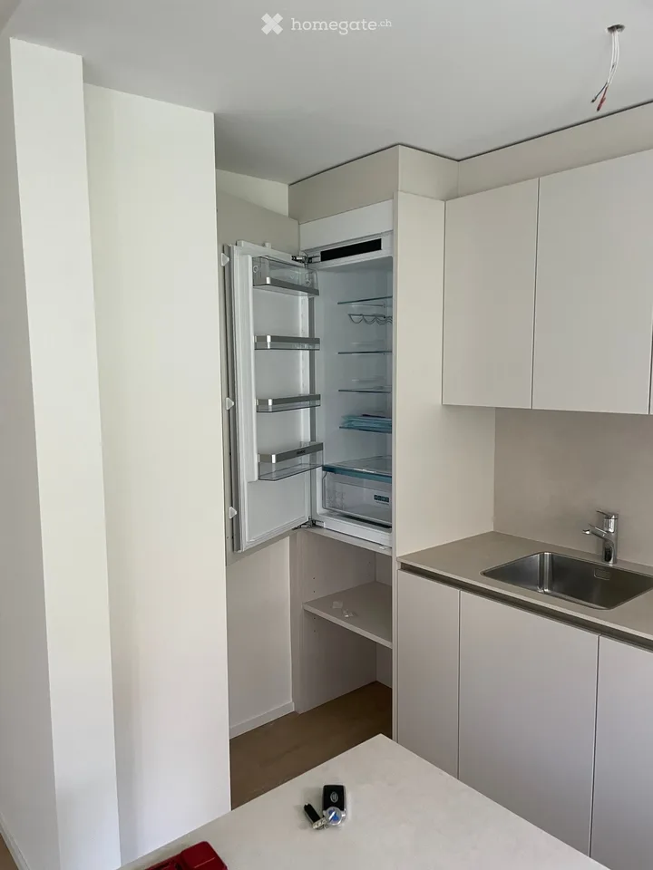 Bright, newly renovated 4.5-room apartment in a quiet location in Meilen with a large terrace