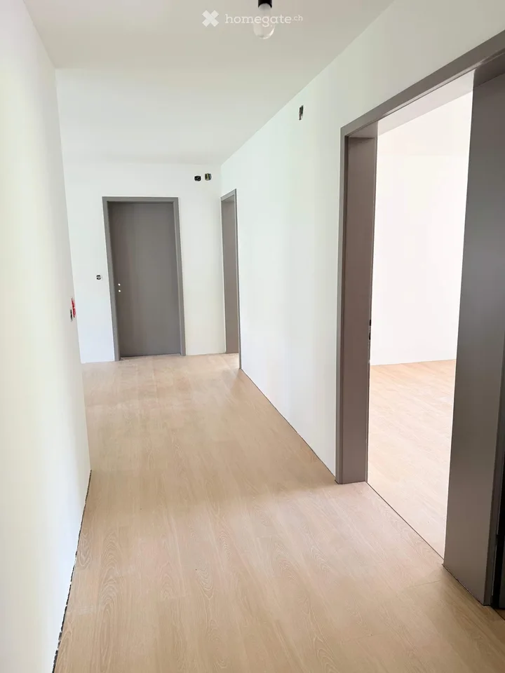 Bright, newly renovated 4.5-room apartment in a quiet location in Meilen with a large terrace