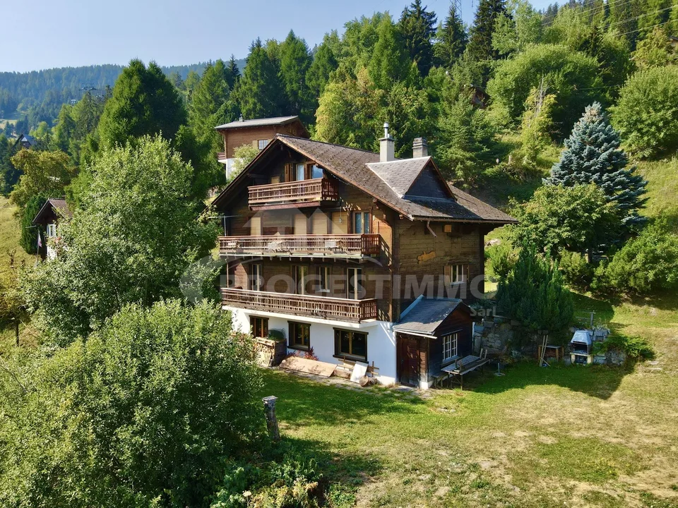 MAGNIFIQUE DUPLEX 6.5 PIÈCES SUR LES PISTES
