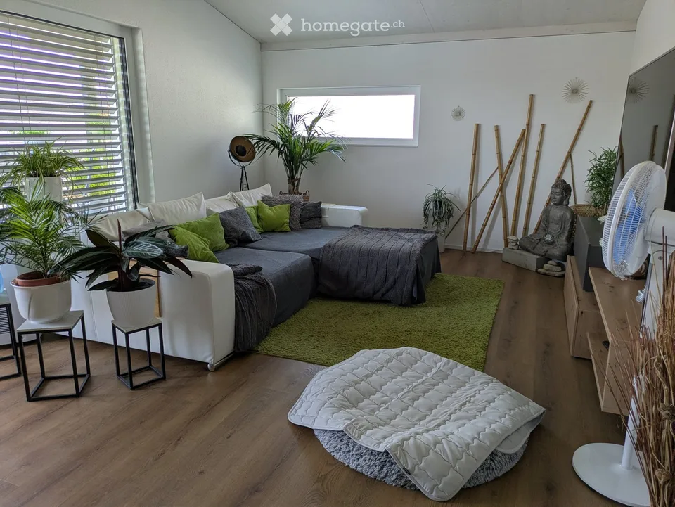 Modern 5.5-room single-family house, quiet location, idyllic flair with mountain view