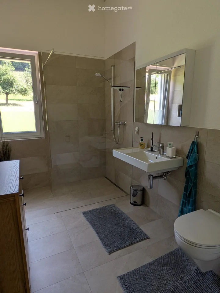 Modern 5.5-room single-family house, quiet location, idyllic flair with mountain view
