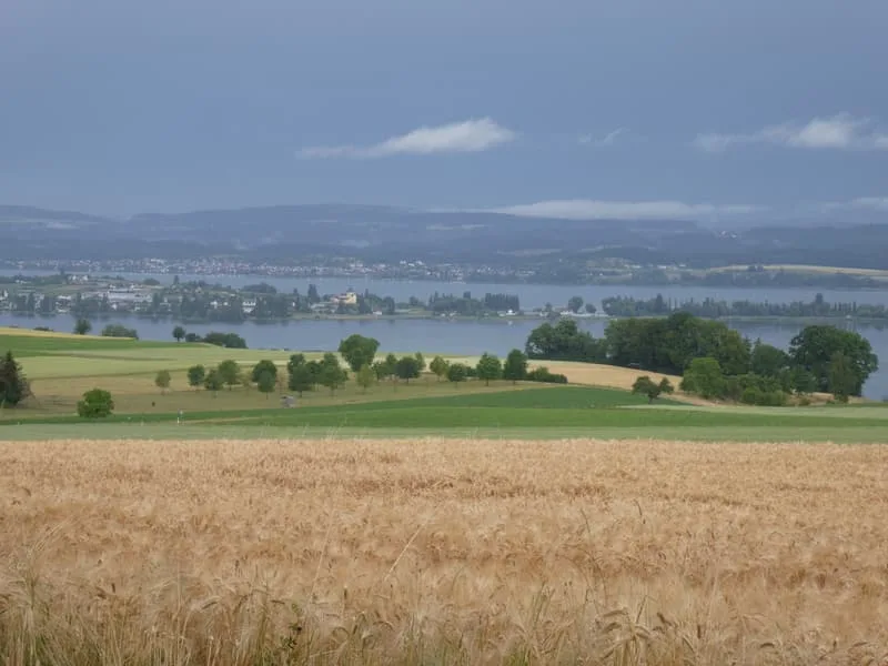 Hochwertige 3.5-Zimmerwohnung in Seenähe mit zwei Balkonen