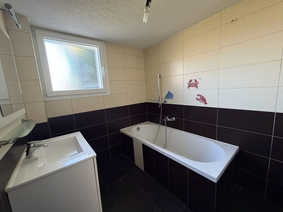 5.5-Zi.-Einfamilienhaus sucht Handwerker