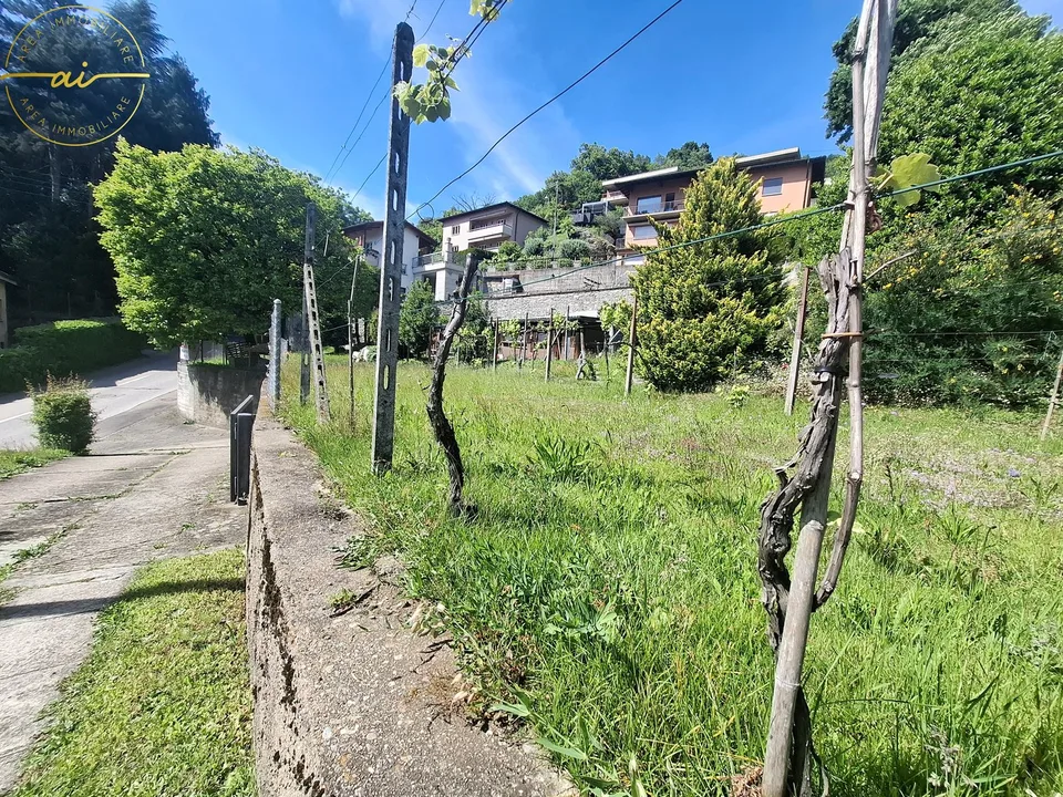 Beau terrain constructible avec vue sur le lac à Sonvico