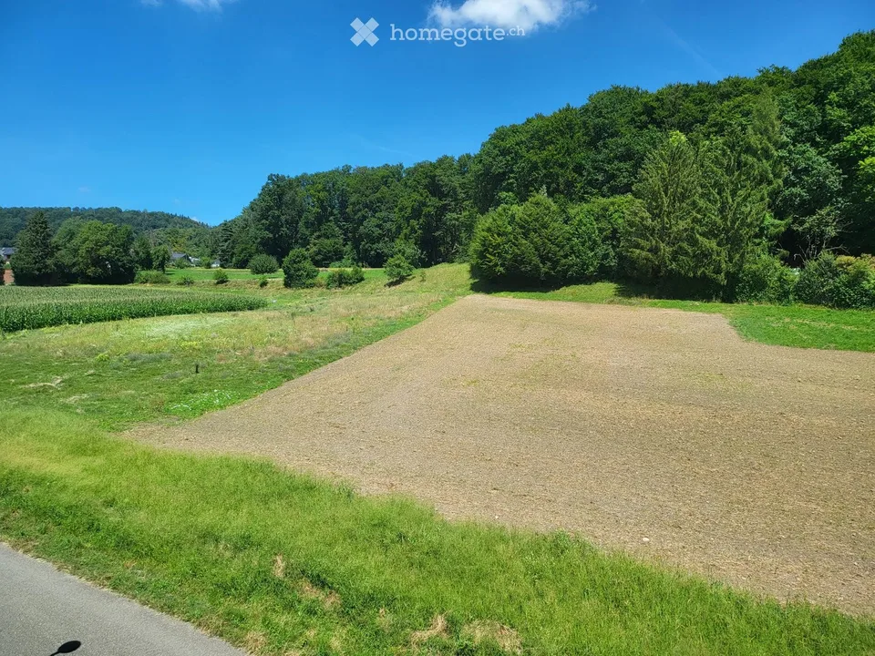 A gem, like in an owner-occupied apartment with a magnificent view of the greenery in Kirchdorf