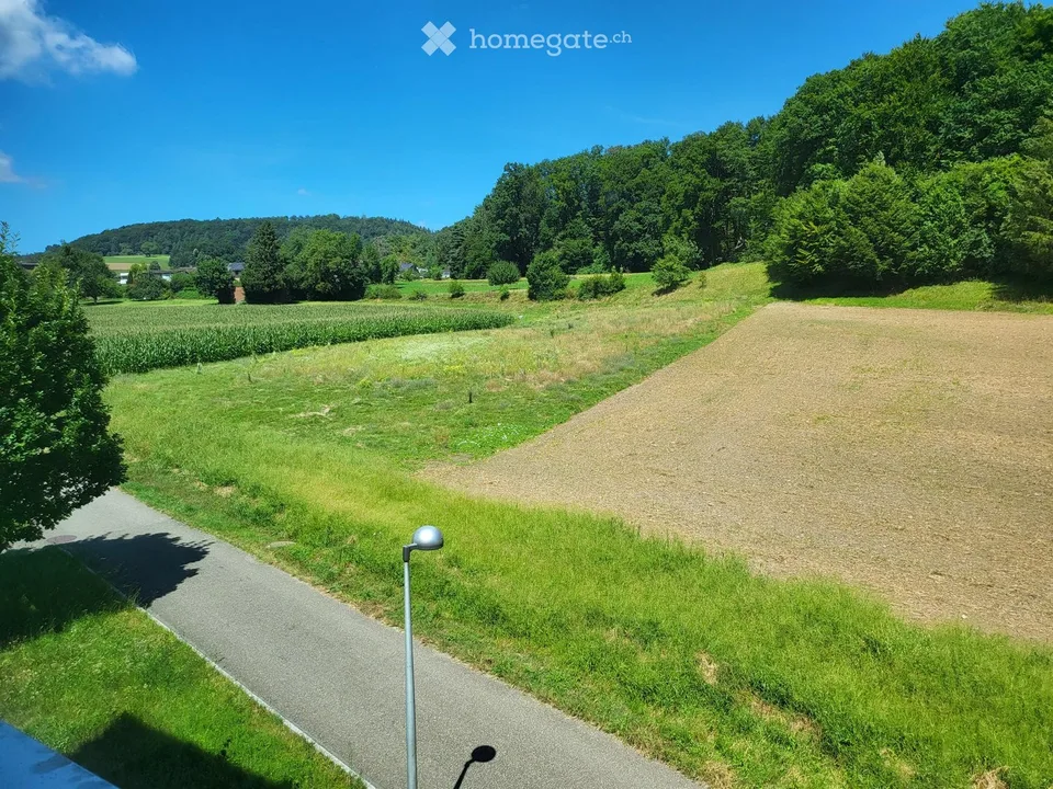 A gem, like in an owner-occupied apartment with a magnificent view of the greenery in Kirchdorf