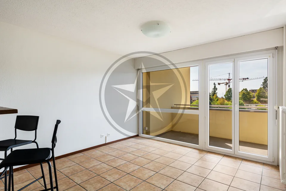 3,5 Zimmer mit Balkon, Seeblick und Garage - nur für Investoren reserviert